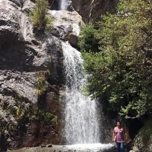 Meet your Posher, Maggie